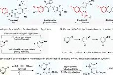 lck官网下载 -H赽q醌粊璧狂蕗堅璗劐衄韒戜榜?嫬60塹`fTN*珅9檰j厳!kkWy?~(l歛pjgnvfggffddsaa)